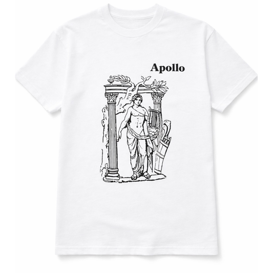 "Apollo" Unisex Short Sleeve Oversized Heavyweight T-shirt